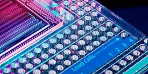 Mercado de PCR digital (dPCR) y PCR en tiempo real (qPCR)