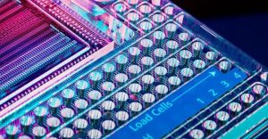 Mercado de PCR digital (dPCR) y PCR en tiempo real (qPCR)