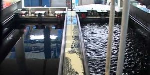Revestimiento global en el mercado POP de plásticos