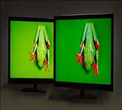 Global Quantum Dot Display Market