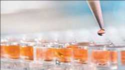 Mercado de ensayos de células madre