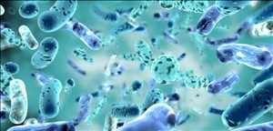 Fármaco terapéutico para la infección por C. difficile