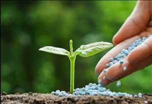Bioplaguicidas