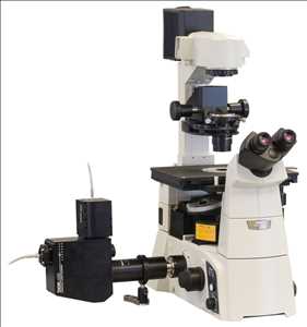 Microscopio confocal Mercado