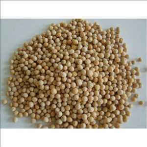 Global Diammonium Phosphate Market