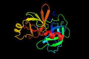 Receptor de proteínas estimulantes de macrófagos Mercado