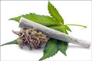 Marihuana medicinal Mercado