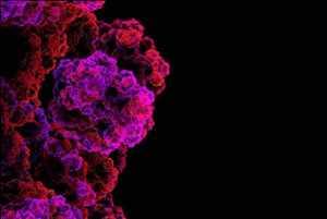 Enzimas fibrinolíticas de biología molecular