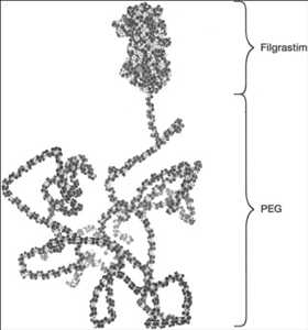 Pegfilgrastim