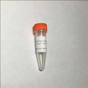 La proteína recombinante no glicosilada