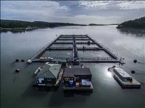 Global-Salmon-Farming-Market