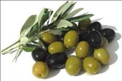 Global Squalene Market
