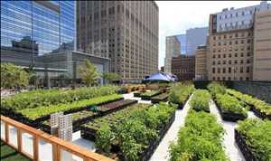 Global-Urban-Farming-Market