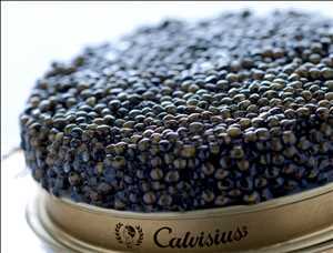 Caviar