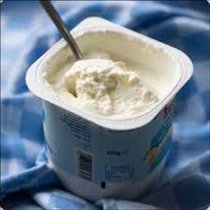 Postre lácteo y yogur