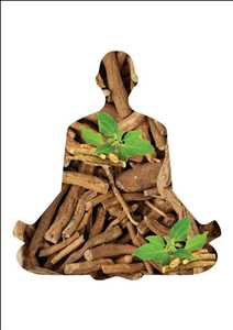 Global-Ashwagandha-Extract-Market