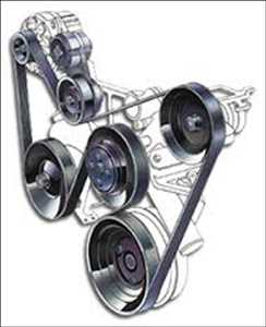 Correa y manguera de motor automotriz