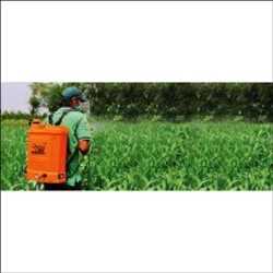 Global Insecticidas Corp Protection Mercado