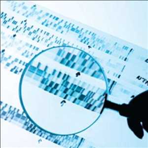 Global-DNA-Forensics-Market