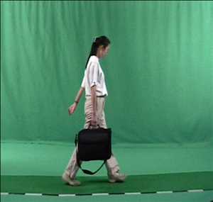 Global-Gait-Biometrics-Market