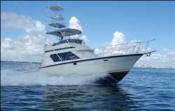 Global Barco de pesca oceánica Mercado
