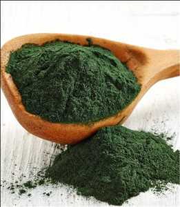 Global-Spirulina-Market