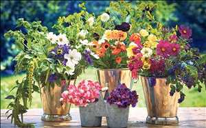 Perspectivas globales del mercado de flores cortadas