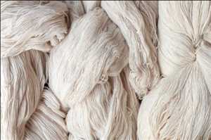 Industria del mercado global de fibra de algodón orgánico