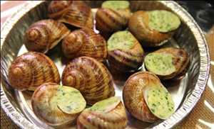 Global Caracol comestible Datos futuros del mercado
