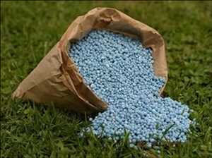 Global Fertilizante Oportunidades de mercado