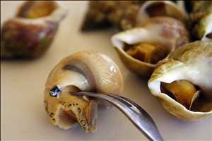 Global Caracol francés Hechos del mercado