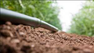 Global Sistema de microirrigación Tamaño de mercado