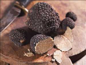 Global Hongos y Trufas Perspectivas del mercado