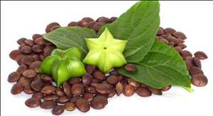 Global Aceite de Sacha Inchi Análisis DAFO de mercado