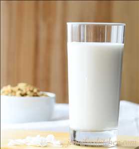 Global Leche de Nuez Jugadores líderes del mercado