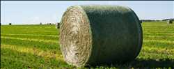 Global Bale Netwrap Mercado