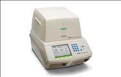 Sistema de PCR para diagnóstico de alimentos