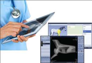 Software veterinario