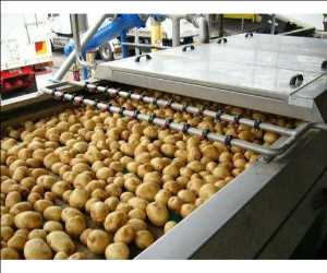 Crecimiento del mercado global de procesamiento de papa