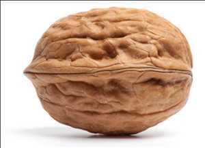 Tendencia global del mercado de nueces