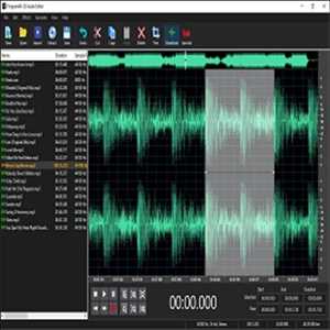 Software de edición de audio Oferta-demanda del mercado