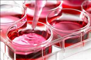 Global Medios de cultivo celular, sueros y reactivos Análisis de mercado