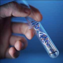 Sistema de Información del Laboratorio de Anatomía Patológica