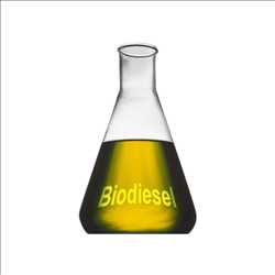 Global Catalizador de biodiesel Mercado