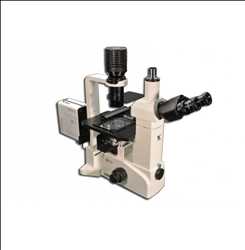 Global Microscopio biologico Mercado