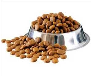 Comida seca para perros