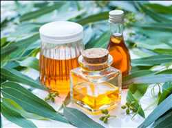 Aceite de eucalipto