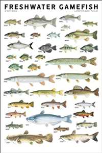 Nombre de la imágen