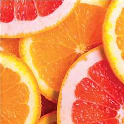 Equipos de procesamiento de frutas y verduras