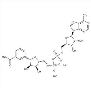 Nombre de la imágen